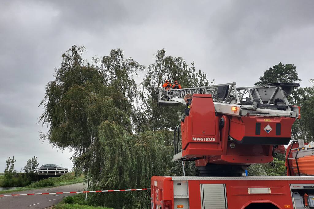 Storm Francis vernielt grote boom