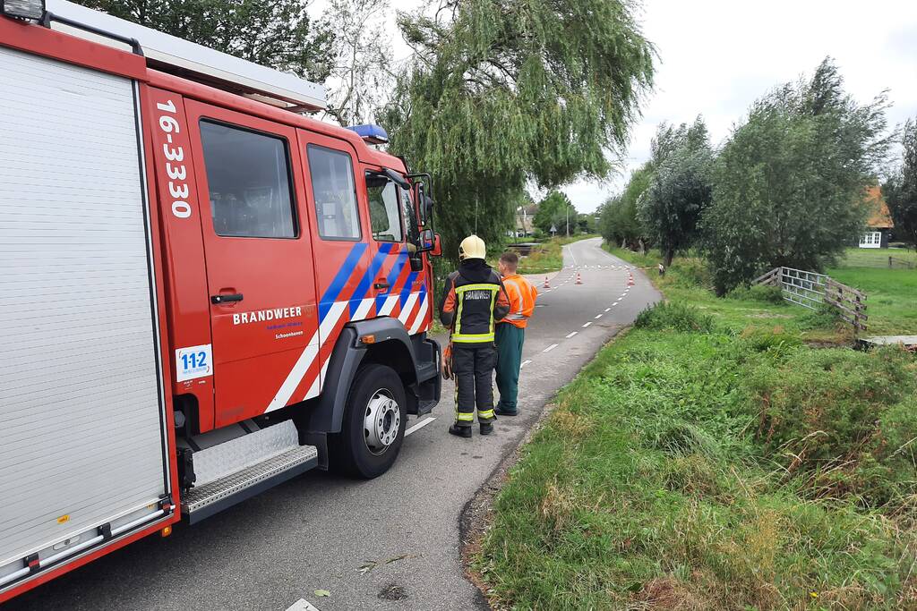 Storm Francis vernielt grote boom
