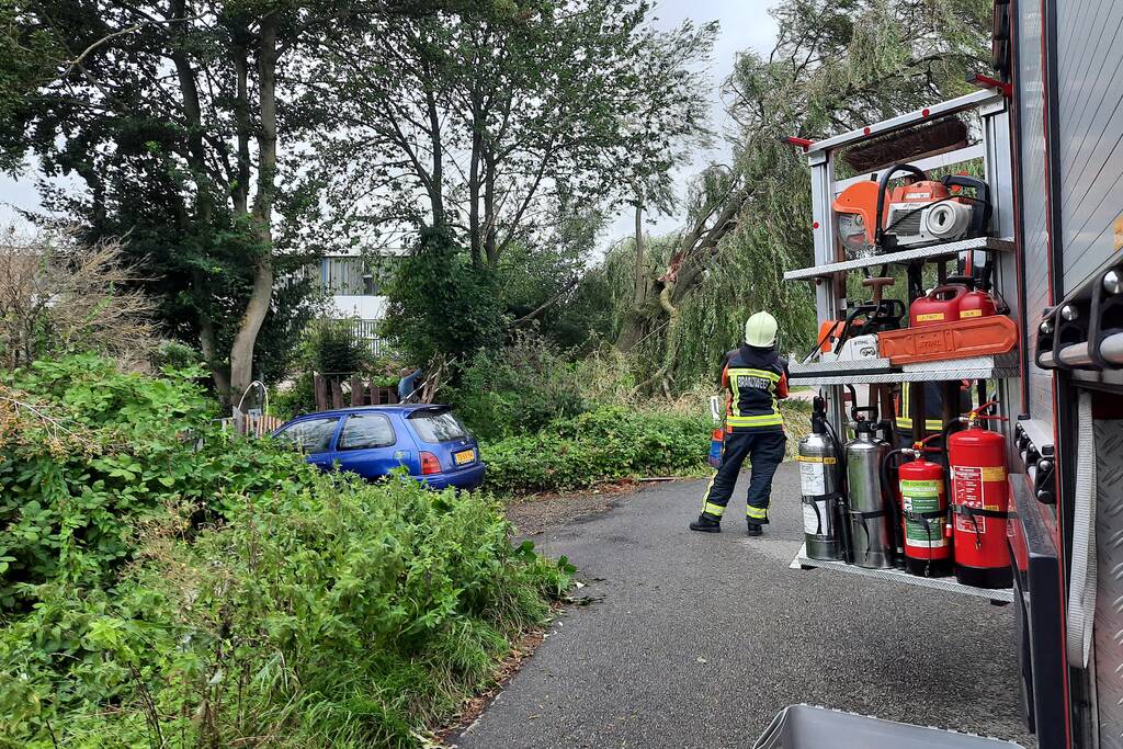 Storm Francis vernielt grote boom