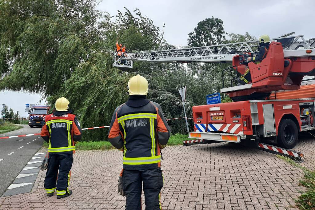Storm Francis vernielt grote boom