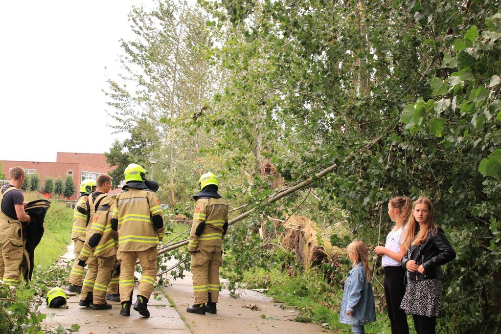 Storm Francis zorgt opnieuw voor omgewaaide takken en bomen