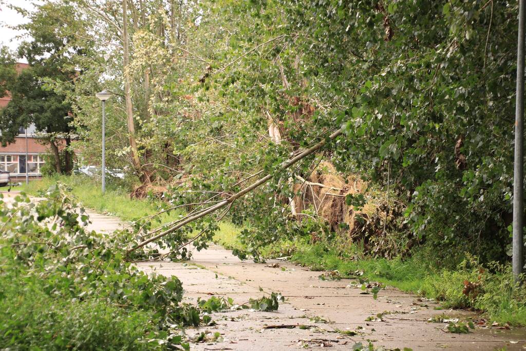 Storm Francis zorgt opnieuw voor omgewaaide takken en bomen
