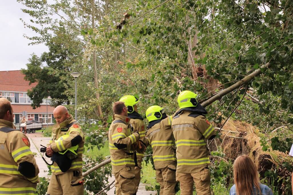 Storm Francis zorgt opnieuw voor omgewaaide takken en bomen