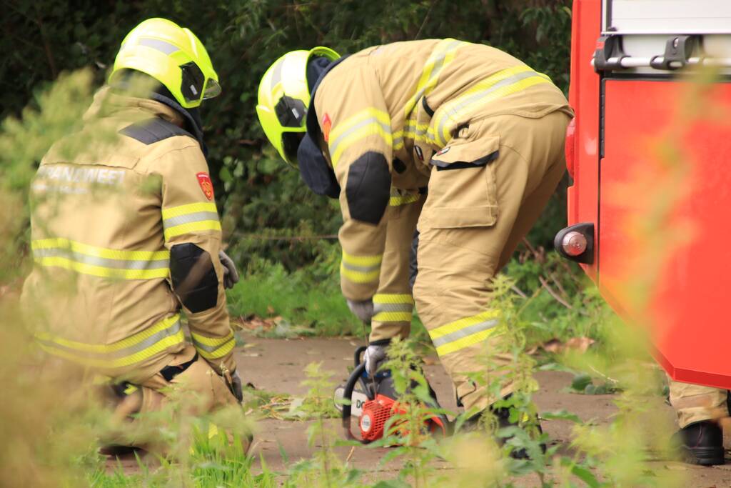 Storm Francis zorgt opnieuw voor omgewaaide takken en bomen