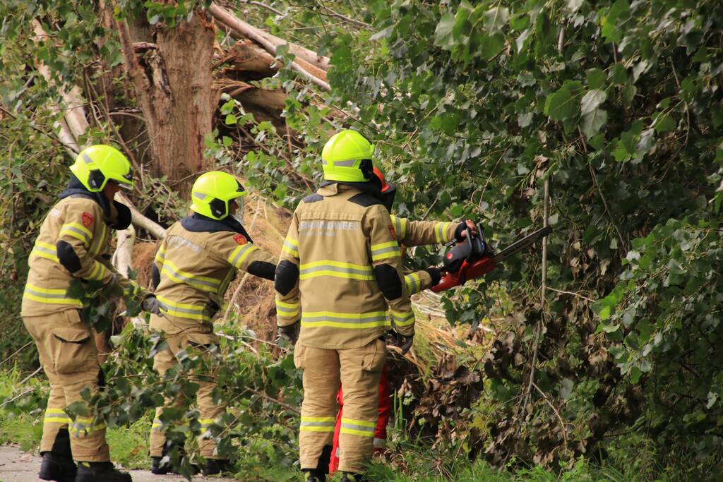 Storm Francis zorgt opnieuw voor omgewaaide takken en bomen