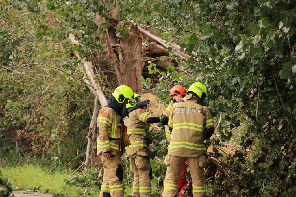 Storm Francis zorgt opnieuw voor omgewaaide takken en bomen