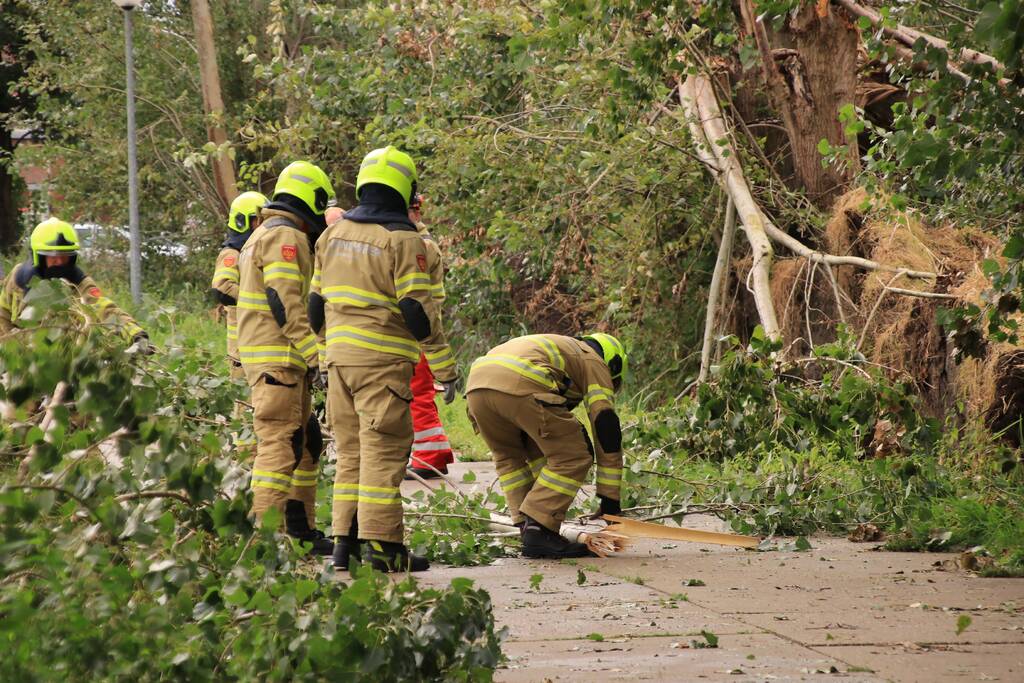 Storm Francis zorgt opnieuw voor omgewaaide takken en bomen