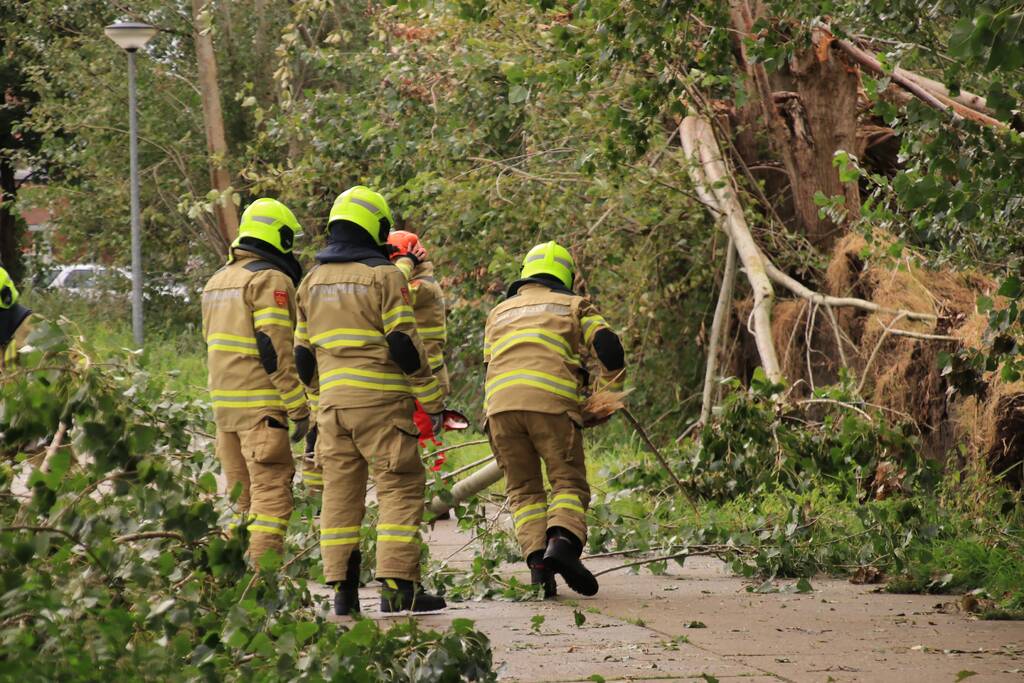 Storm Francis zorgt opnieuw voor omgewaaide takken en bomen