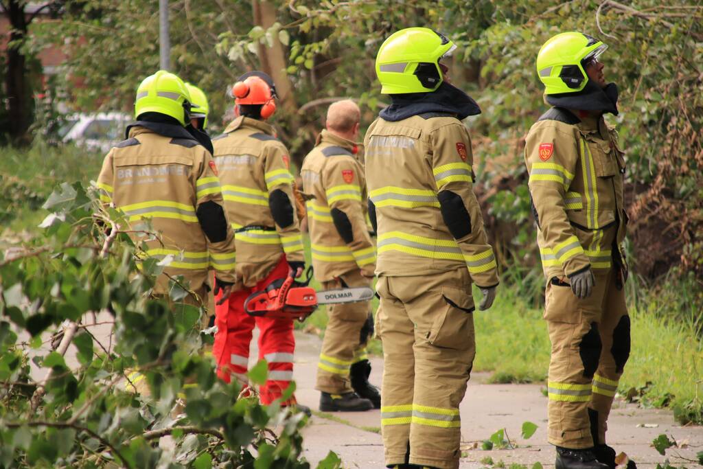 Storm Francis zorgt opnieuw voor omgewaaide takken en bomen