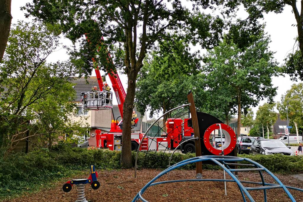 Gevaarlijk hangende tak bungelt boven speeltuin