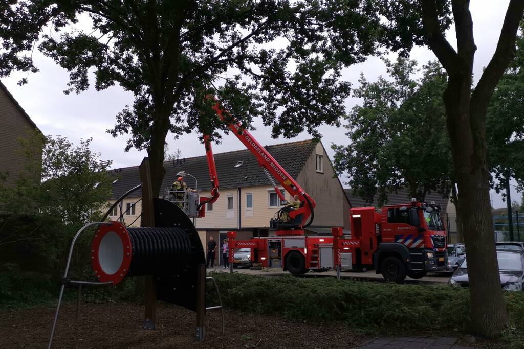 Gevaarlijk hangende tak bungelt boven speeltuin