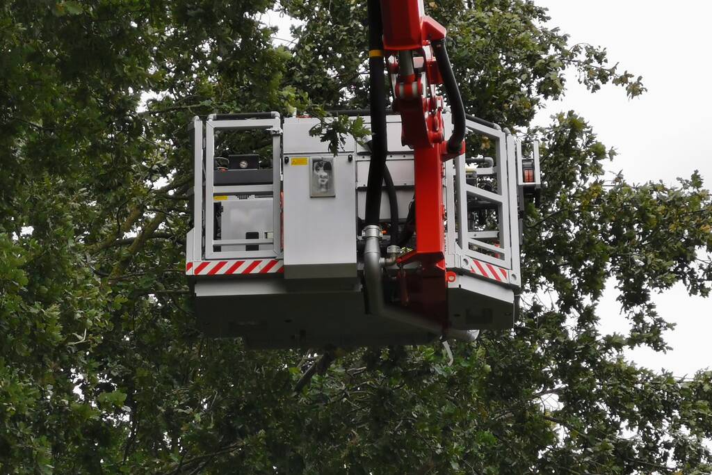 Gevaarlijk hangende tak bungelt boven speeltuin