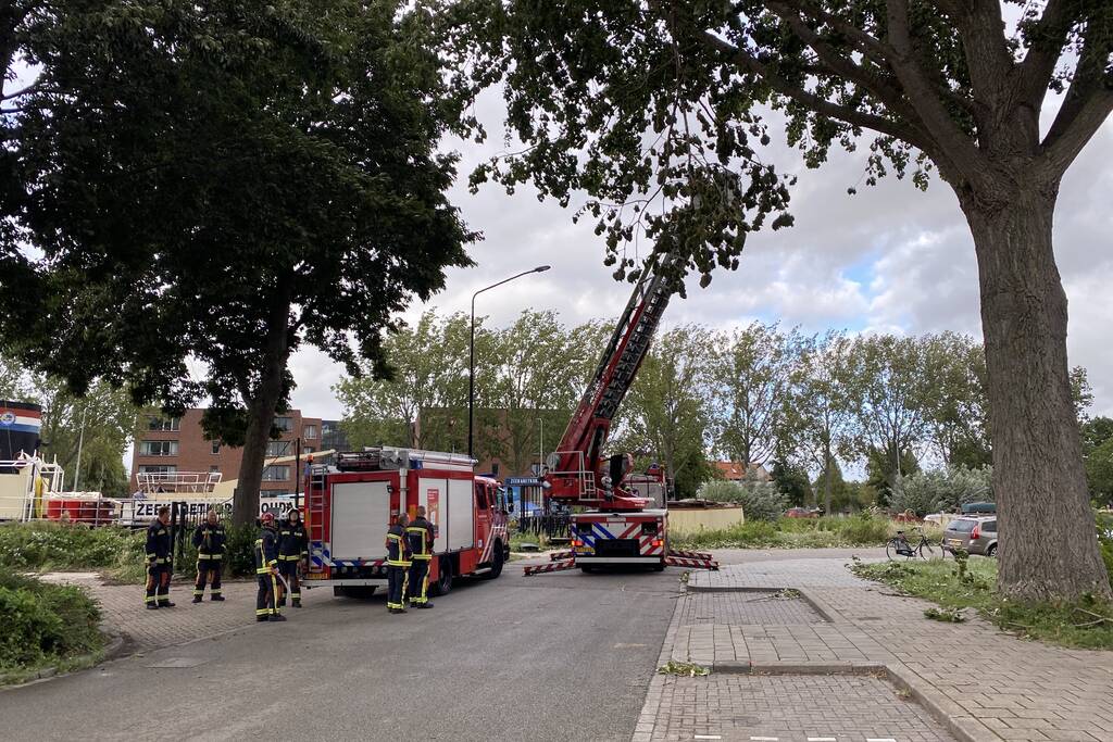 Brandweer verwijderd loshangende tak