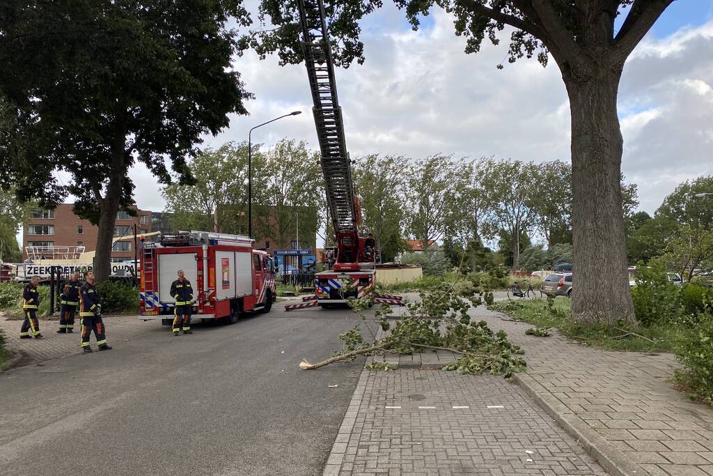 Brandweer verwijderd loshangende tak