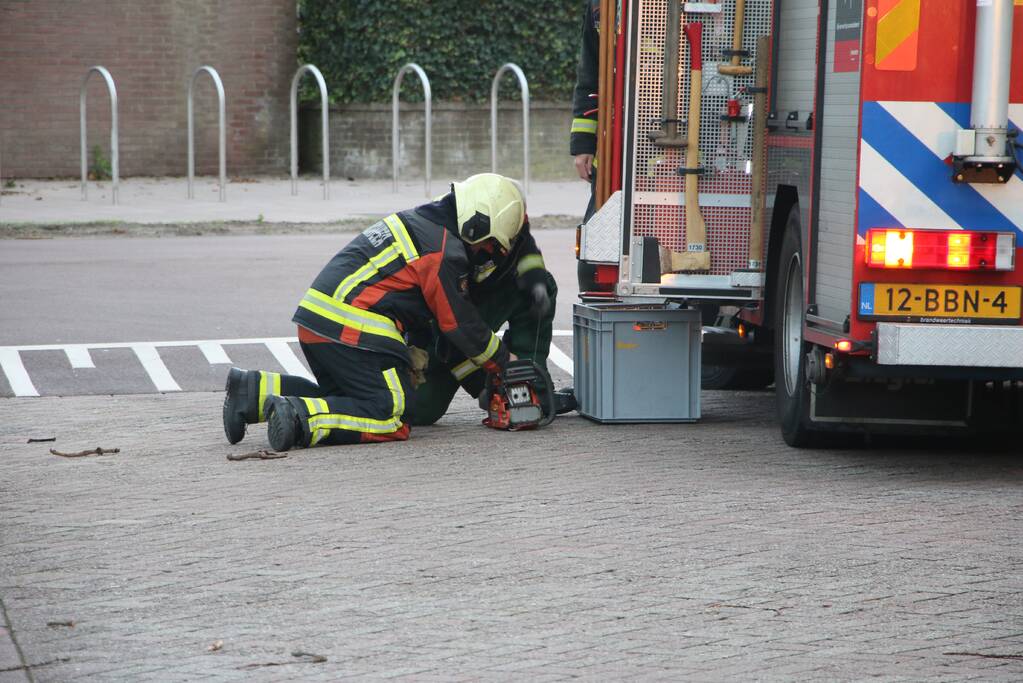 Met hoogwerker levensgevaarlijke takken verwijderd