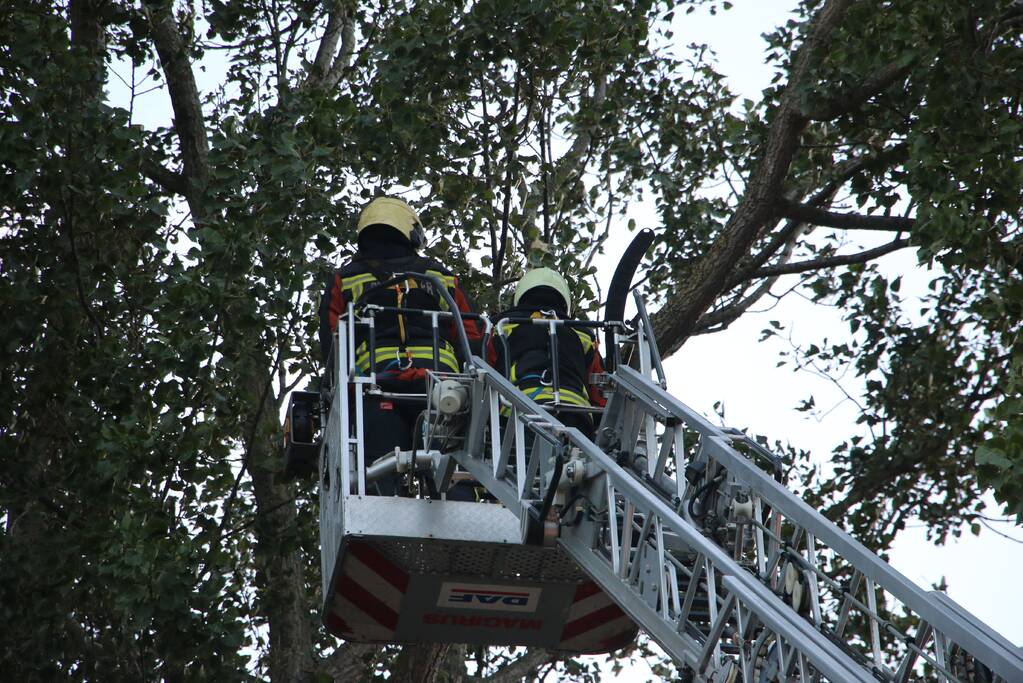 Met hoogwerker levensgevaarlijke takken verwijderd