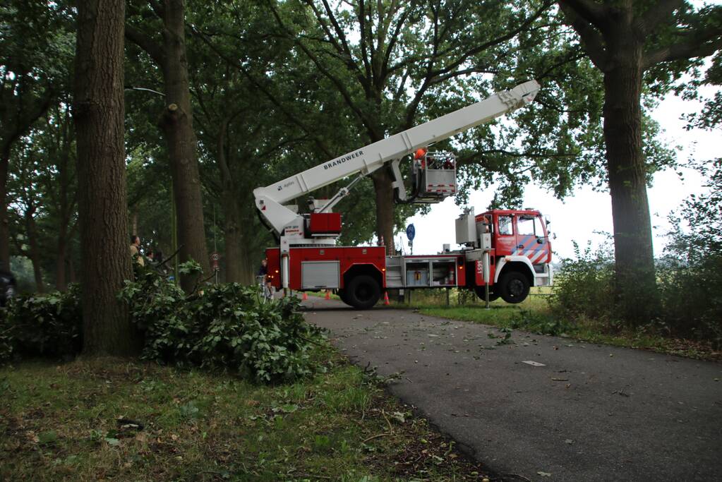 Loshangende takken zorgen voor gevaarlijke situatie boven fietspad