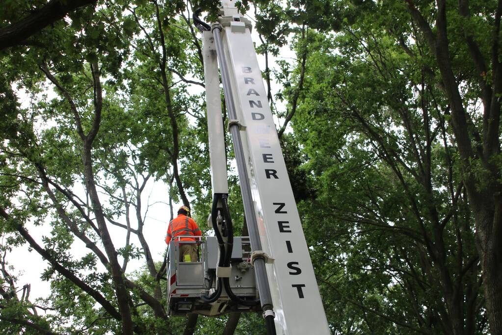 Loshangende takken zorgen voor gevaarlijke situatie boven fietspad