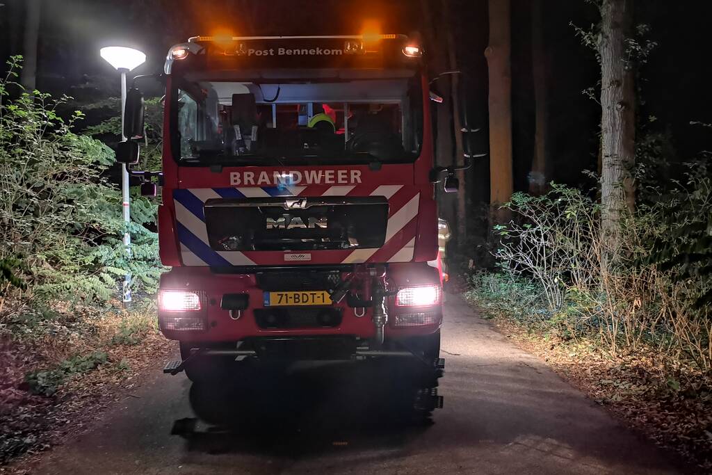 Jonge duiven gered na omgevallen boom