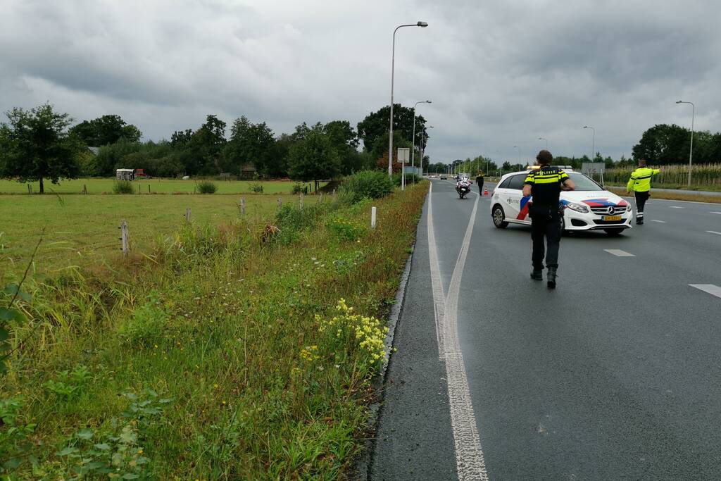 N781 afgesloten na loslopende koeien op de weg
