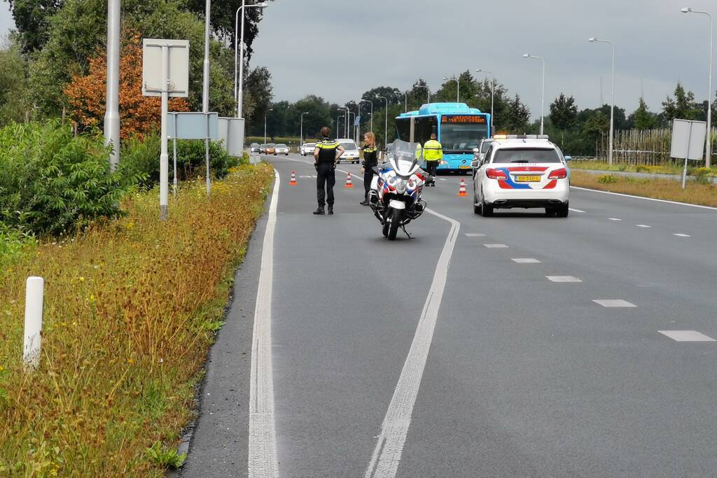 N781 afgesloten na loslopende koeien op de weg