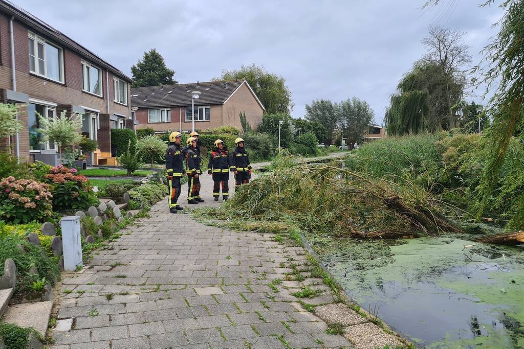Grote takken uit boom afgebroken