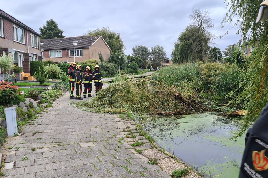 Grote takken uit boom afgebroken
