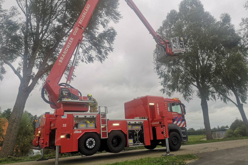 Brandweer verwijderd loshangende takken