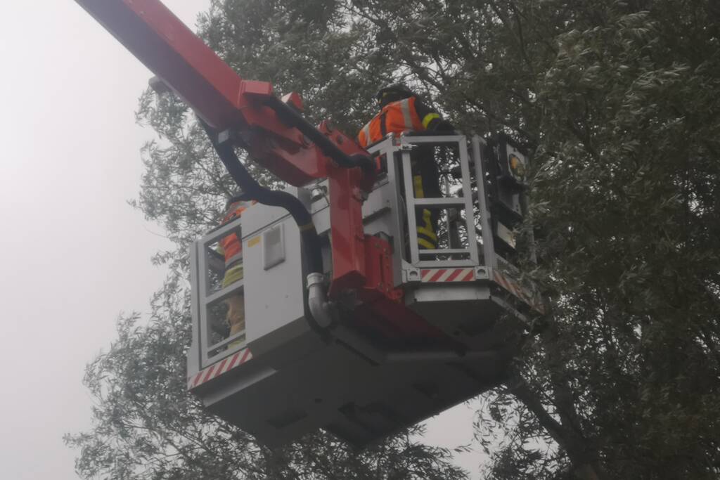 Brandweer verwijderd loshangende takken