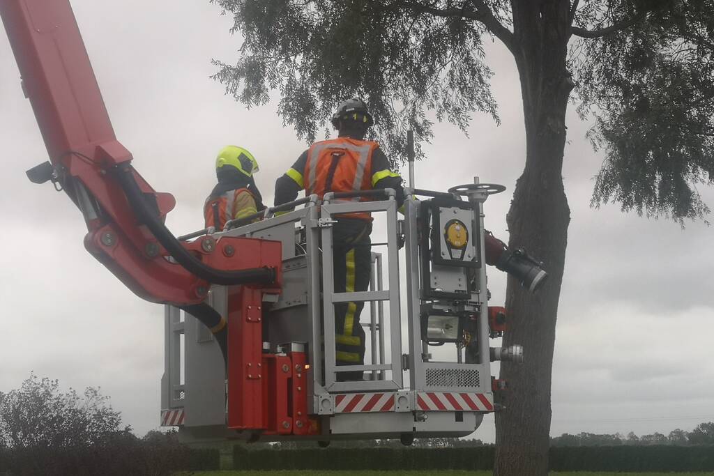 Brandweer verwijderd loshangende takken