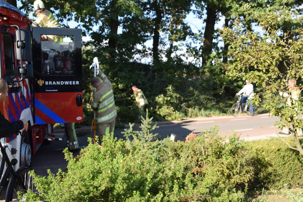 Gevaarlijk hangende tak uit boom verwijderd