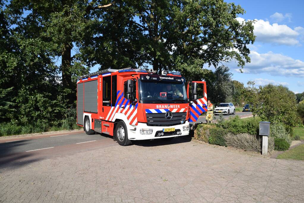 Gevaarlijk hangende tak uit boom verwijderd