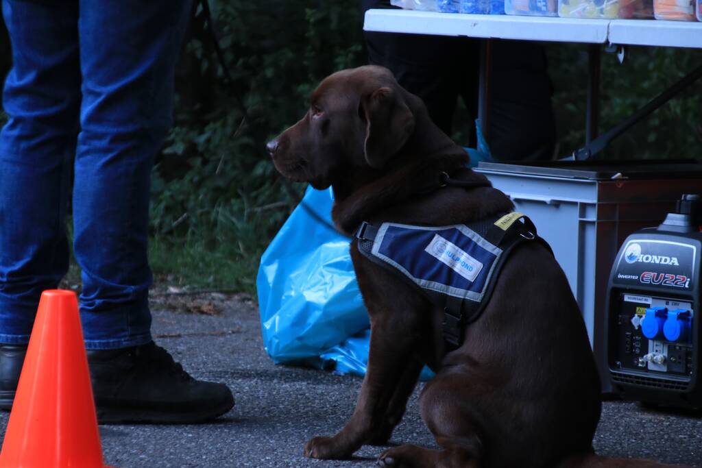 Vermiste 54-jarige man aangetroffen dankzij Burgernetdeelnemer
