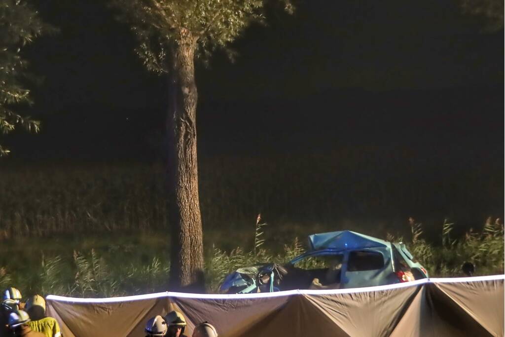 Automobilist overleden na ernstig verkeersongeval