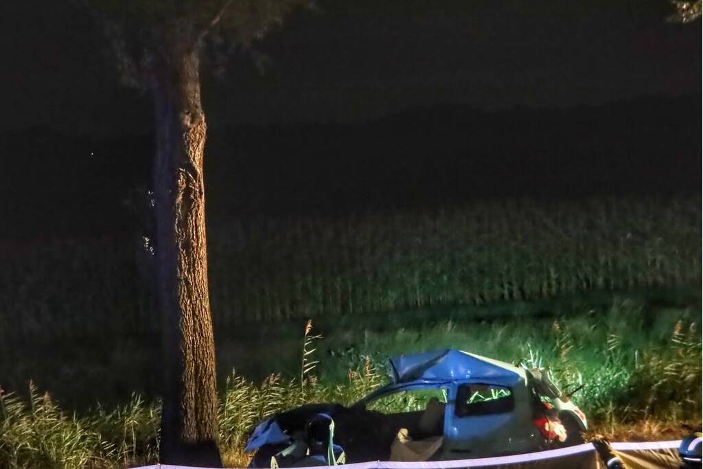 Automobilist overleden na ernstig verkeersongeval