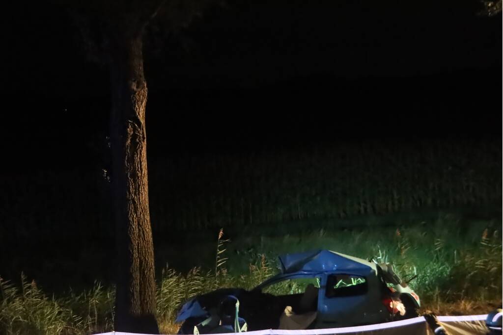 Automobilist overleden na ernstig verkeersongeval