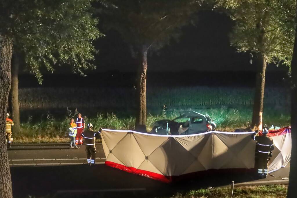 Automobilist overleden na ernstig verkeersongeval