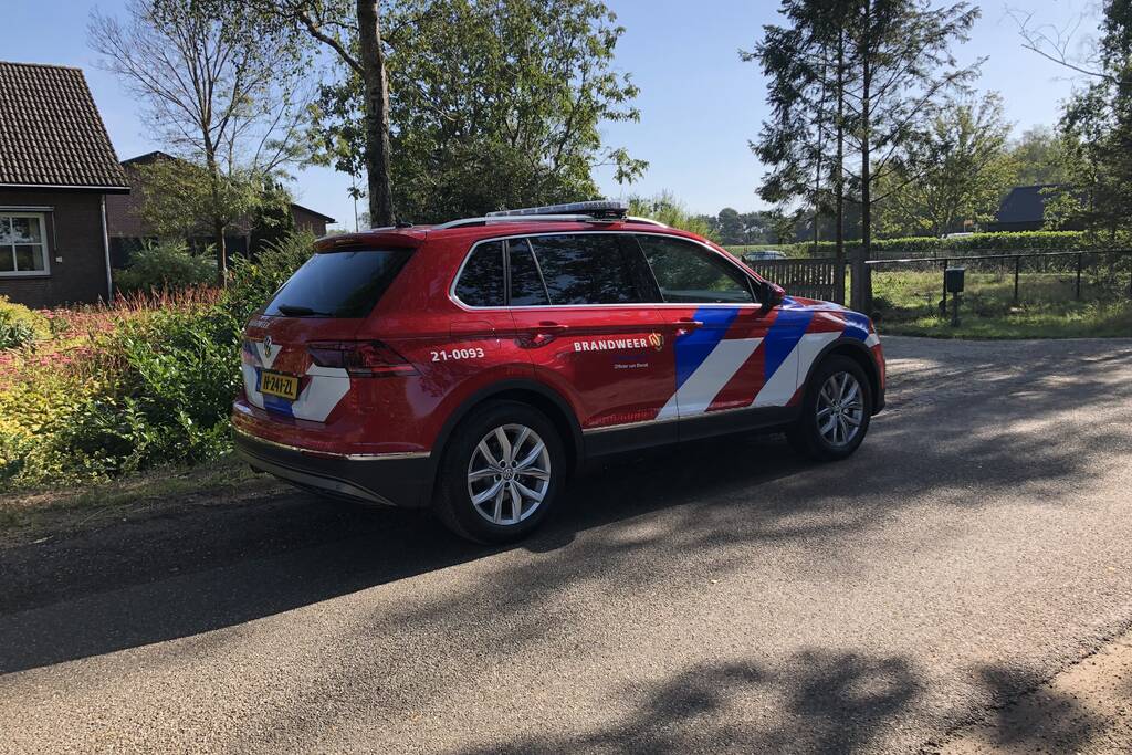 Veulen belandt in put van veeschuur