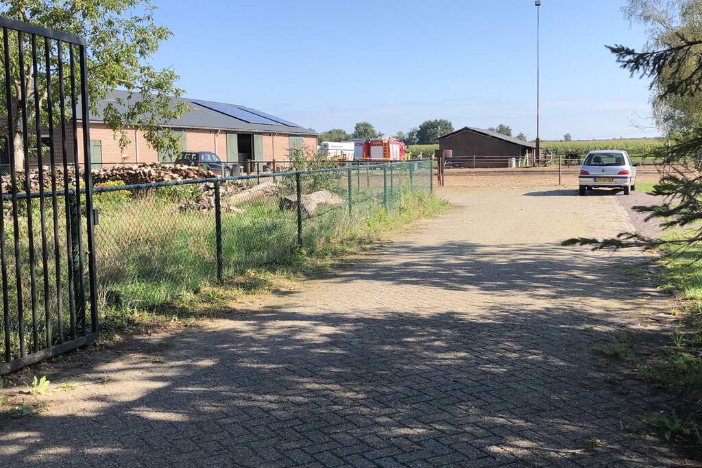 Veulen belandt in put van veeschuur
