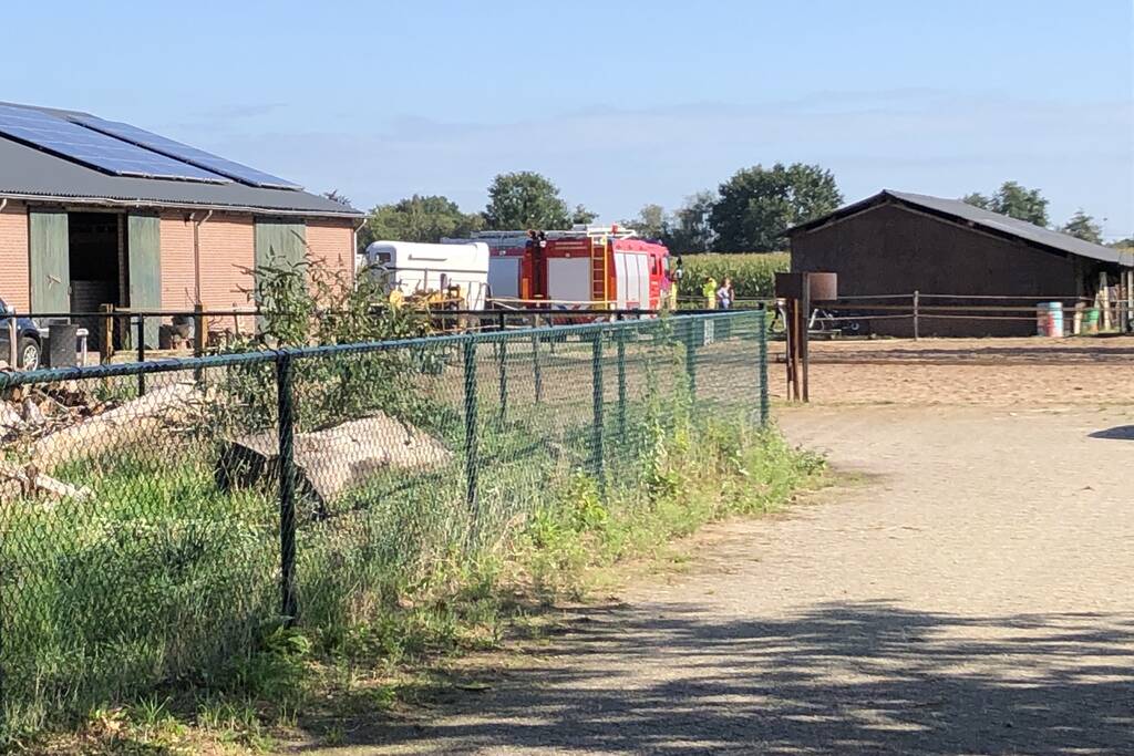 Veulen belandt in put van veeschuur