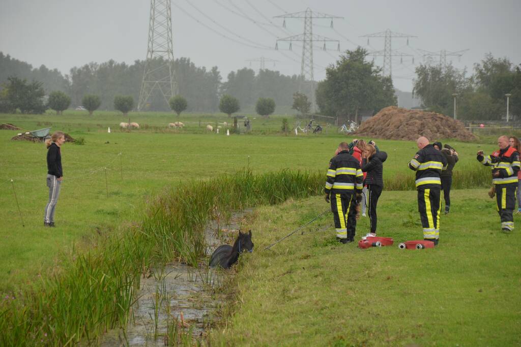 Paard vast in sloot, brandweer bevrijdt het dier