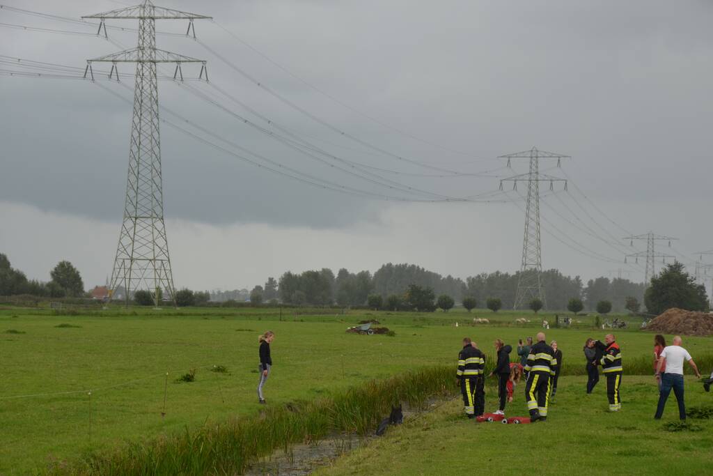 Paard vast in sloot, brandweer bevrijdt het dier