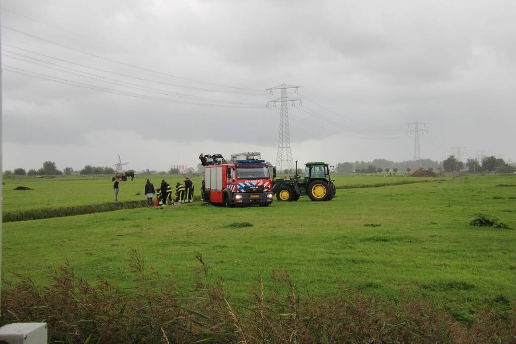 Paard vast in sloot, brandweer bevrijdt het dier