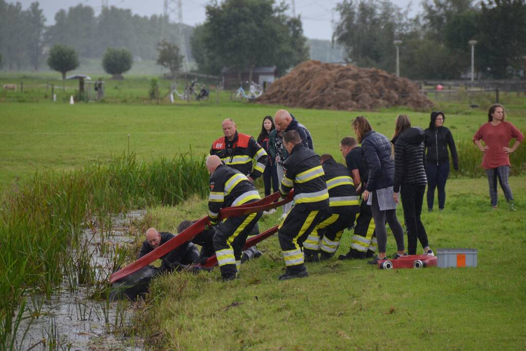 Paard vast in sloot, brandweer bevrijdt het dier