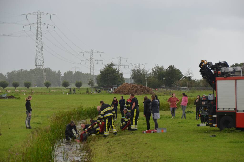 Paard vast in sloot, brandweer bevrijdt het dier