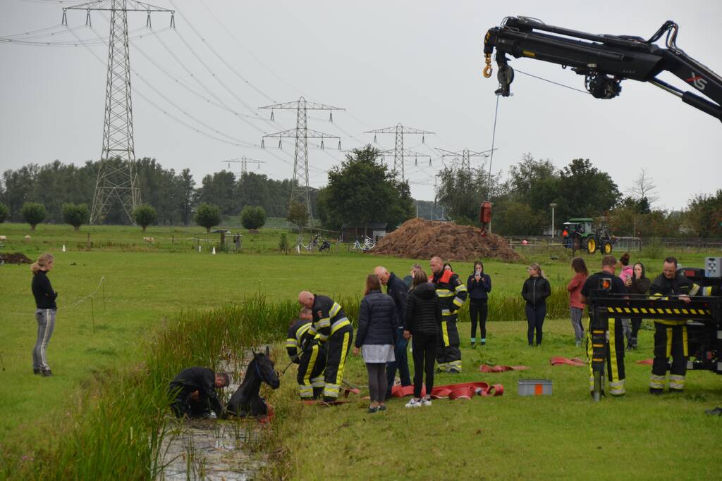 Paard vast in sloot, brandweer bevrijdt het dier