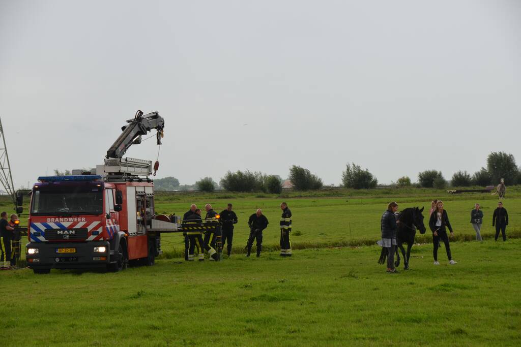 Paard vast in sloot, brandweer bevrijdt het dier