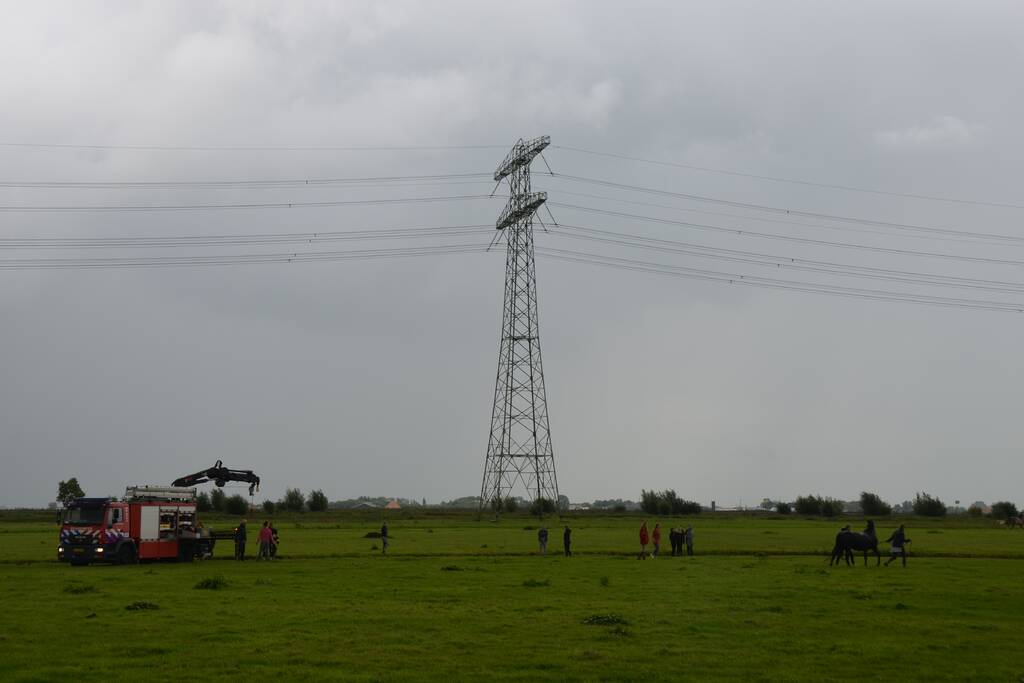 Paard vast in sloot, brandweer bevrijdt het dier