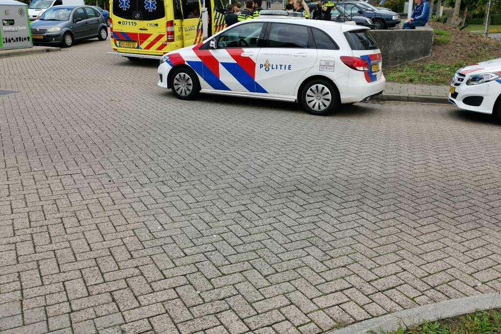 Kinderen krijgen traumabeer na botsing met auto