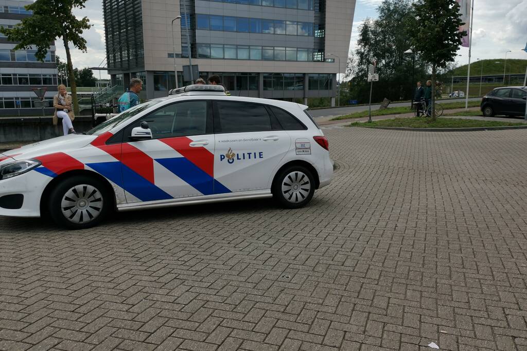 Kinderen krijgen traumabeer na botsing met auto
